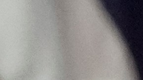 Líderes de otras organizaciones medioambientales destacan que aunque Trump puede sacar de nuevo a Estados Unidos del Acuerdo de París, su presidencia solo durará cuatro años.