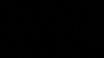 Rally de Trump en North Carolina