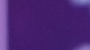 Donald Trump junto a la gobernadora de Dakota del Sur, Kristi Noem, en campaña