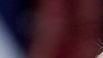 Joe Biden y Donald Trump