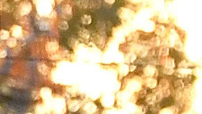 Las identidades de las víctimas mortales no se han dado a conocer.