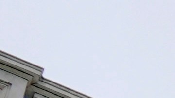 Entre los que se oponen a la medida están la Unión Estadounidense por las Libertades Civiles (ACLU), la NAACP, Greenpeace USA y Planned Parenthood.