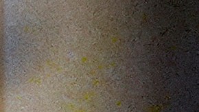 Matt Gaetz, candidato de Trump a fiscal general