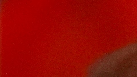 Trump tiene un plan "B", que sería forzar al Senado a declararse en receso para nombrar a los integrantes de su gabinete como "interinos".
