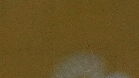 El mandatario envió felicitaciones al pueblo uruguayo.