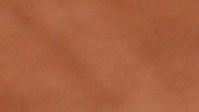 Novak Djokovic contrata a Andy Murray como su nuevo entrenador