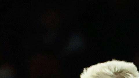 Barcelona y Celta de Vigo pactaron a dos goles por LaLiga española.