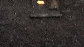 Mientras los manifestantes eran arrestados gritaban:“¡Libertad para Palestina!”