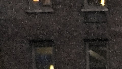 Mientras los manifestantes eran arrestados gritaban:“¡Libertad para Palestina!”