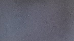 Botafogo conquistó su primera Copa Libertadores tras vencer al Atlético Mineiro