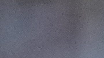 Botafogo conquistó su primera Copa Libertadores tras vencer al Atlético Mineiro