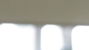 Los oficiales de TSA revisa que viajeros porten una identificación válida.