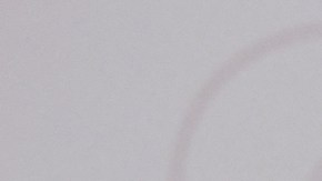 Adamari López pagó todo el préstamo a sus tío.