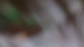 Ana Patricia Gámez, presentadora de televisión.