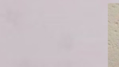 Carlos Dixon Viel había escapado de las autoridades, hasta que lo detuvieron en una parada de tránsito.