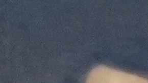 El presidente de Ucrania, Volodímir Zelensky, junto al presidente Joe Biden durante una visita a la Casa Blaca en septiembre de este año.