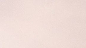 Burger King lanza una nueva guarnición