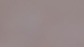 Para disfrutar la oferta, los usuarios deben ser miembro Royal Perks.