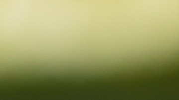 El arroz sobrante lo puedes agregar a los burritos.