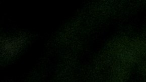 Conoce algunos trucos para alargar la vida útil de las calabazas.