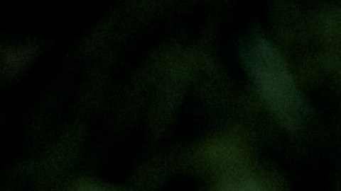 Conoce algunos trucos para alargar la vida útil de las calabazas.