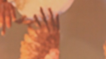 Carlos Adyan, presentador de televisión.