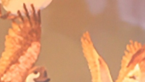 Carlos Adyan, presentador de Pica y Se Extiende.