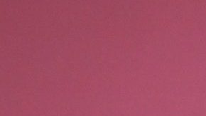 Carolina Sandoval y su esposo Nick Hernández se están divorciando tras 10 años de matrimonio.