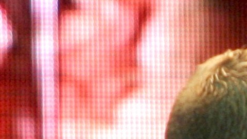 Cristian Castro y Verónica Castro.