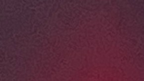 El NYPD desplegará una amplia presencia de uniformados y encubiertos para proteger a la ciudad en Acción de Gracias