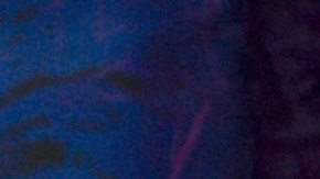 Daniela Di Giacomo, presentadora de televisión.