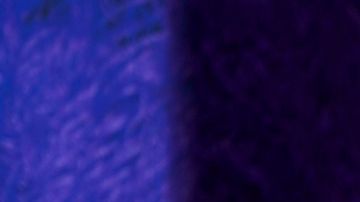 Dayanara Torres tiene su árbol y sus adornos guardados.