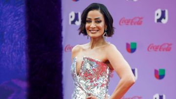 Dayanara Torres tiene su árbol y sus adornos guardados.
