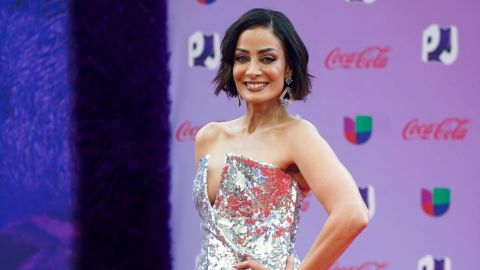 Dayanara Torres tiene su árbol y sus adornos guardados.
