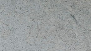 El Departamento del Tesoro anunció las sanciones en contra de los integrantes del Cártel del Golfo.