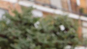 "Sé que son días agotadores, que no hay horas, no hay minutos y hay mucha necesidad que atender", compartió Felipe VI.