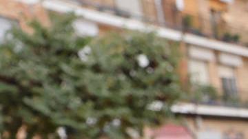 "Sé que son días agotadores, que no hay horas, no hay minutos y hay mucha necesidad que atender", compartió Felipe VI.