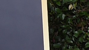 Portia de Rossi y Ellen DeGeneres habrían comprado su nueva casa antes de las elecciones.