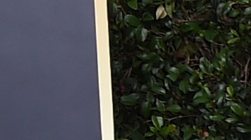 Portia de Rossi y Ellen DeGeneres habrían comprado su nueva casa antes de las elecciones.