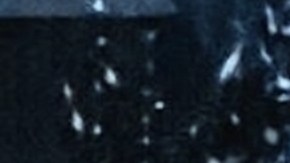 Ernestina Sodi y Thalía.