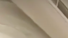 Este año la celebración incluirá presentaciones del grupo Fandango Jarocho Newyorkino,