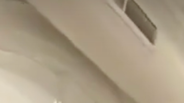 Este año la celebración incluirá presentaciones del grupo Fandango Jarocho Newyorkino,