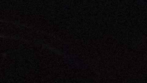 Fans en pelea de Mike Tyson y Jake Paul.