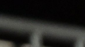 Fans de New York Red Bulls.