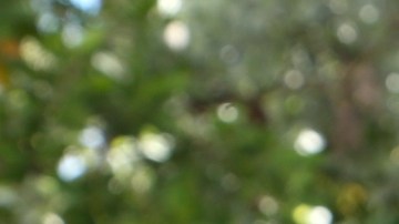 Gaby Espino se mostró feliz con el resultado final de la decoración.