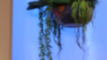 Gianluca Vacchi, empresario italiano, formará parte del jurado del Miss Universo 2024.