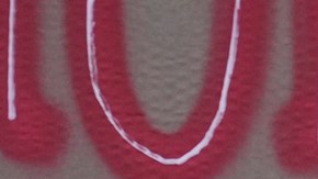 Greta Thunberg dice que Kamala Harris y Donald Trump tienen "sangre en las manos"