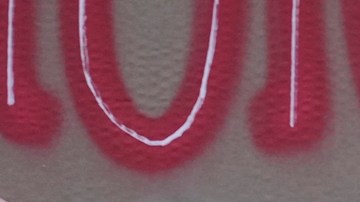 Greta Thunberg dice que Kamala Harris y Donald Trump tienen "sangre en las manos"