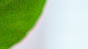 McDonald's lanza para la temporada navideña una nueva Cajita Feliz.