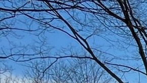 La policía informó sobre el lamentable accidente y dijo que la víctima se encuentra en un hospital.